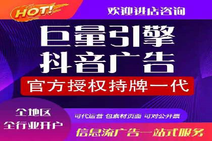 知名SEM运营公司实战案例解析